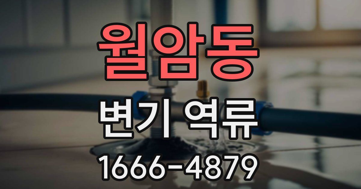 월암동 변기 역류