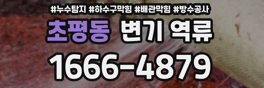 초평동 변기 역류