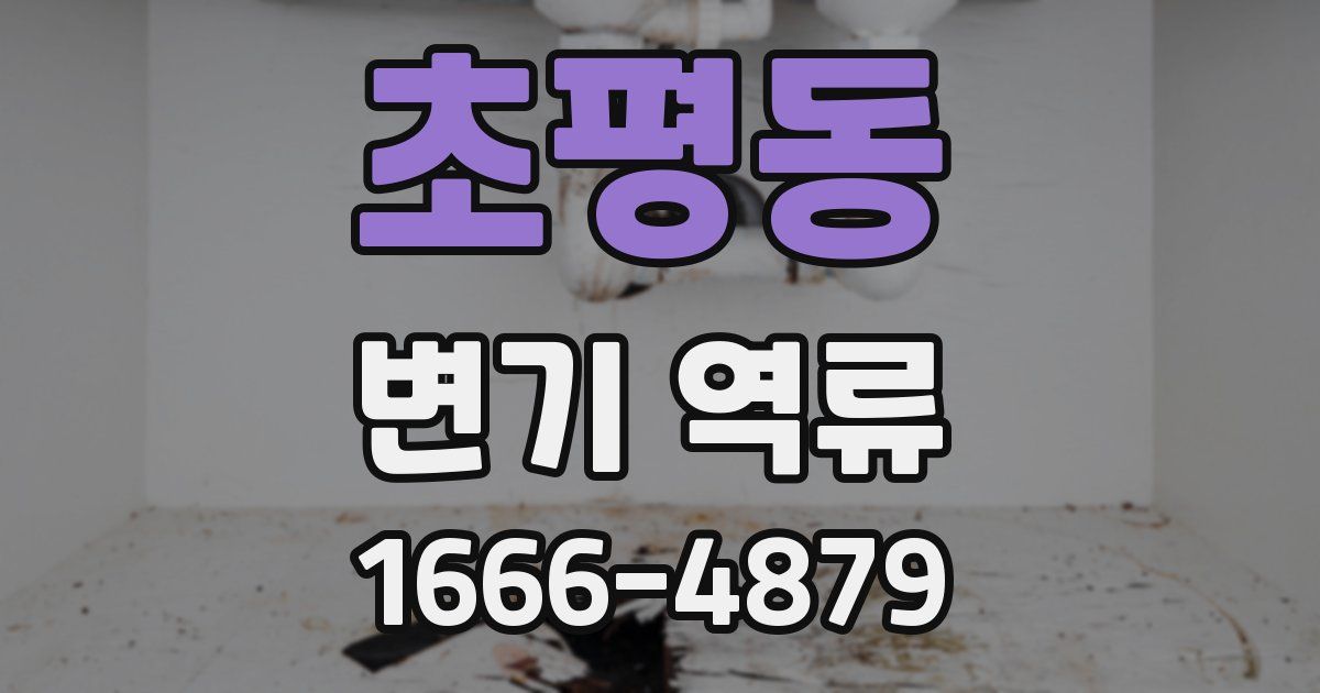 초평동 변기 역류