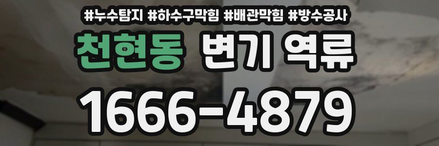 천현동 변기 역류