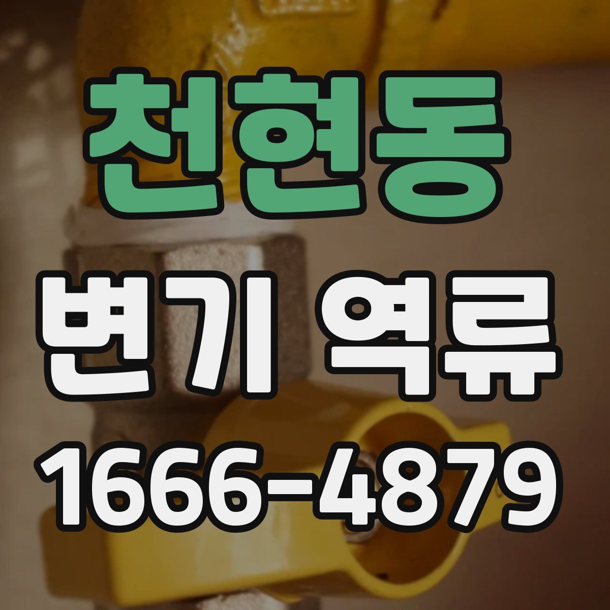 천현동 변기 역류