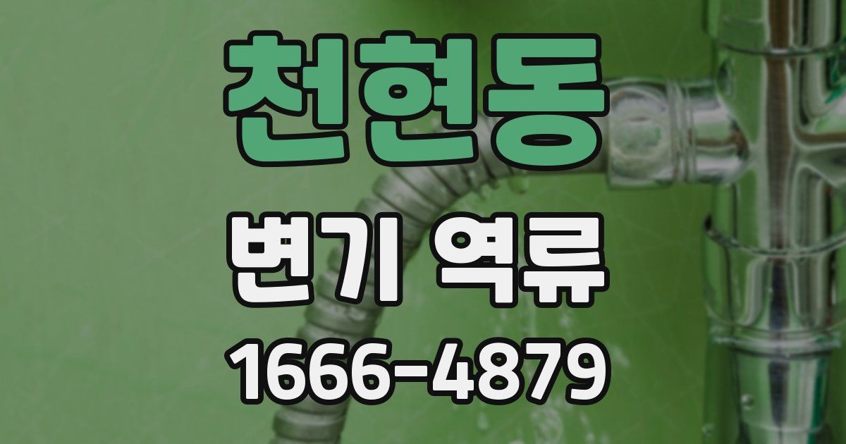 천현동 변기 역류