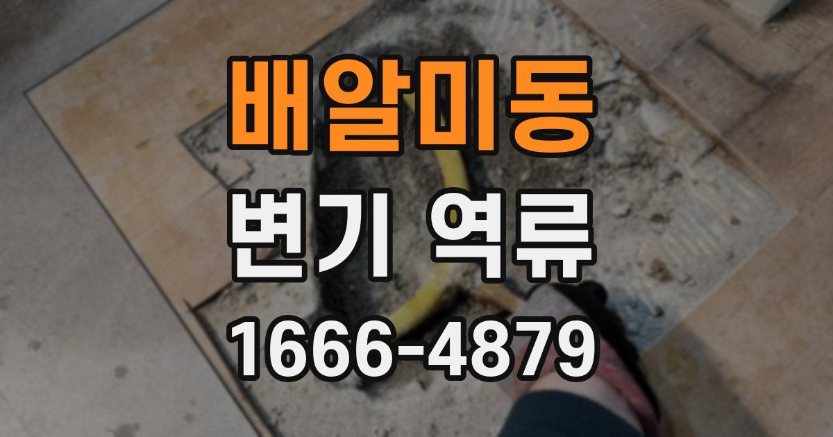배알미동 변기 역류
