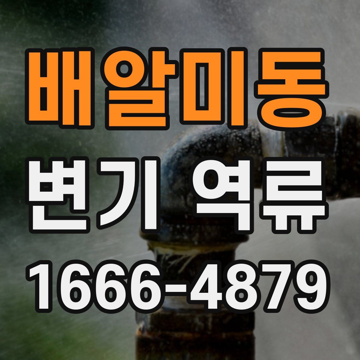 배알미동 변기 역류