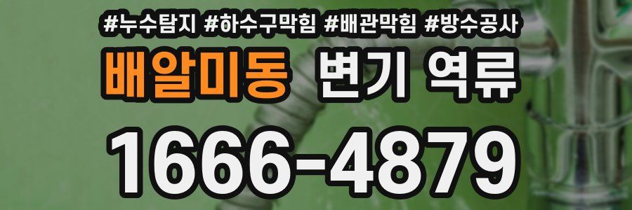 배알미동 변기 역류