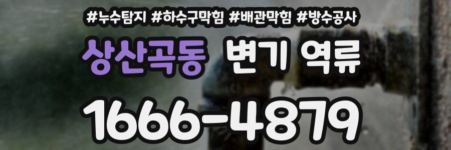 상산곡동 변기 역류