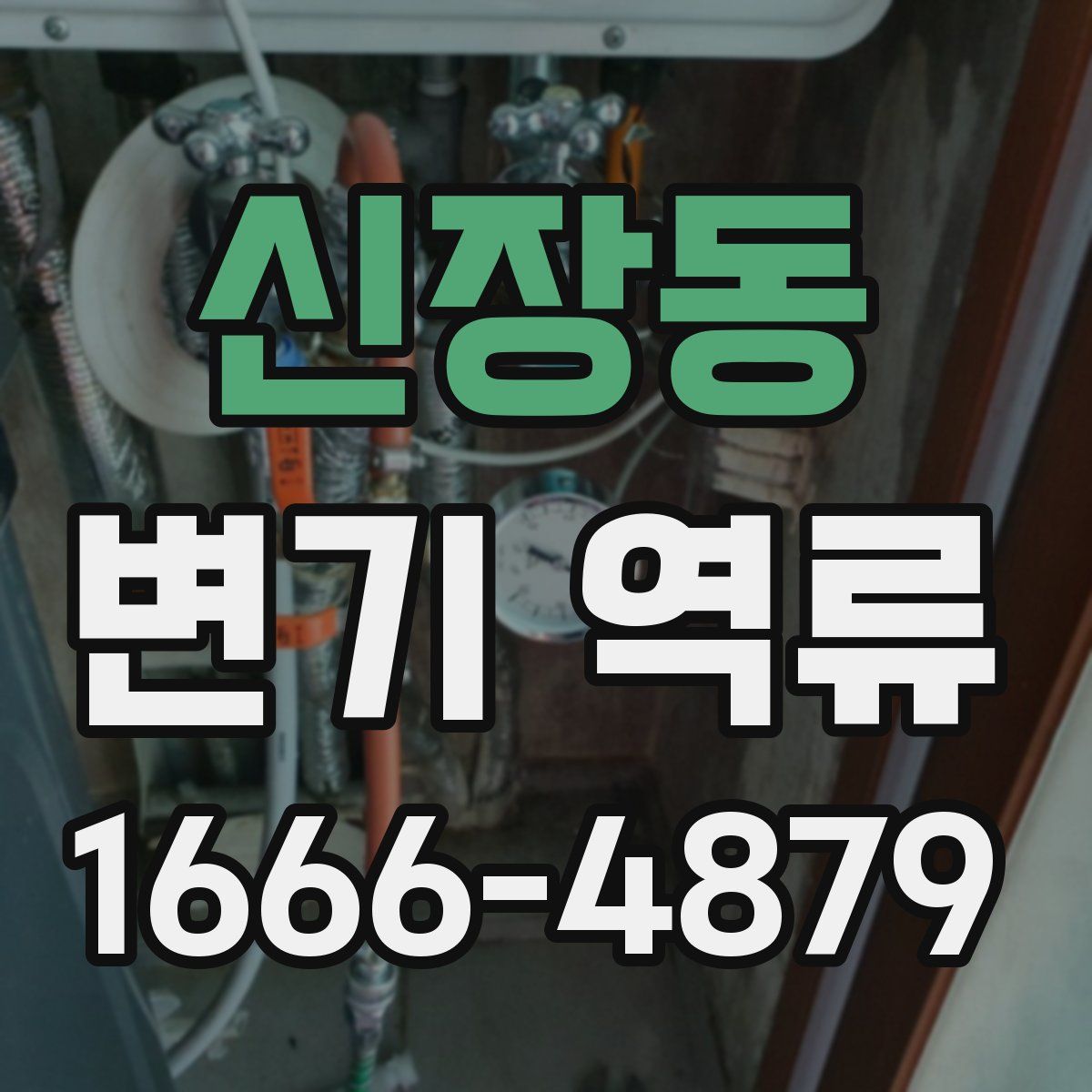 신장동 변기 역류