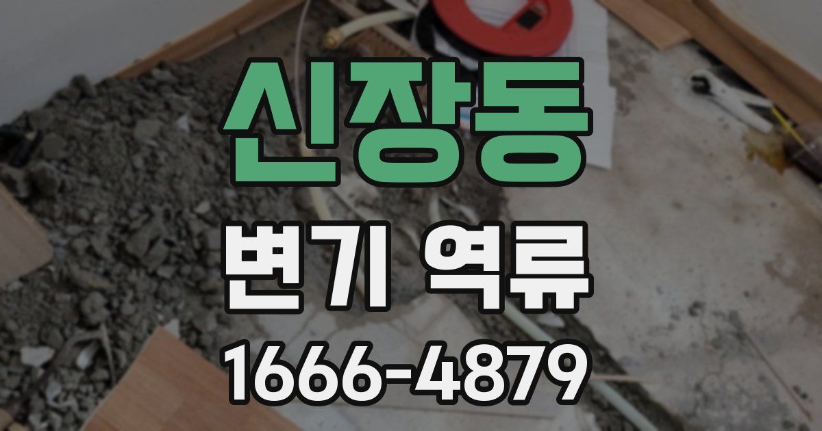 신장동 변기 역류