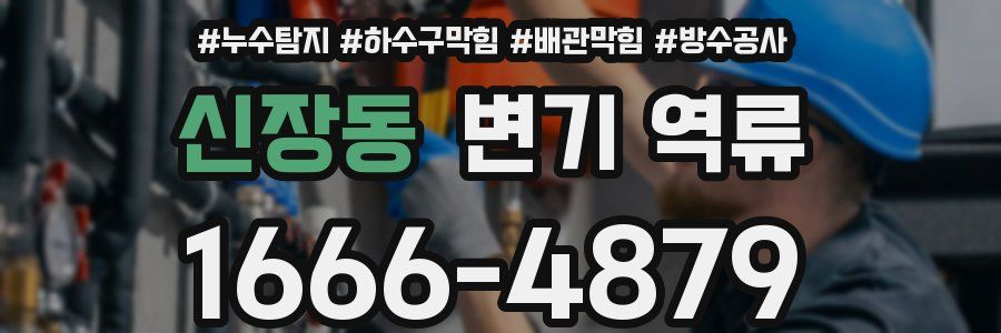 신장동 변기 역류