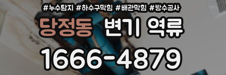 당정동 변기 역류