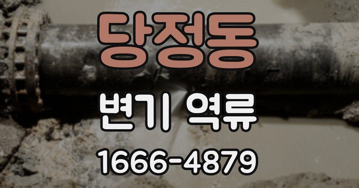 당정동 변기 역류