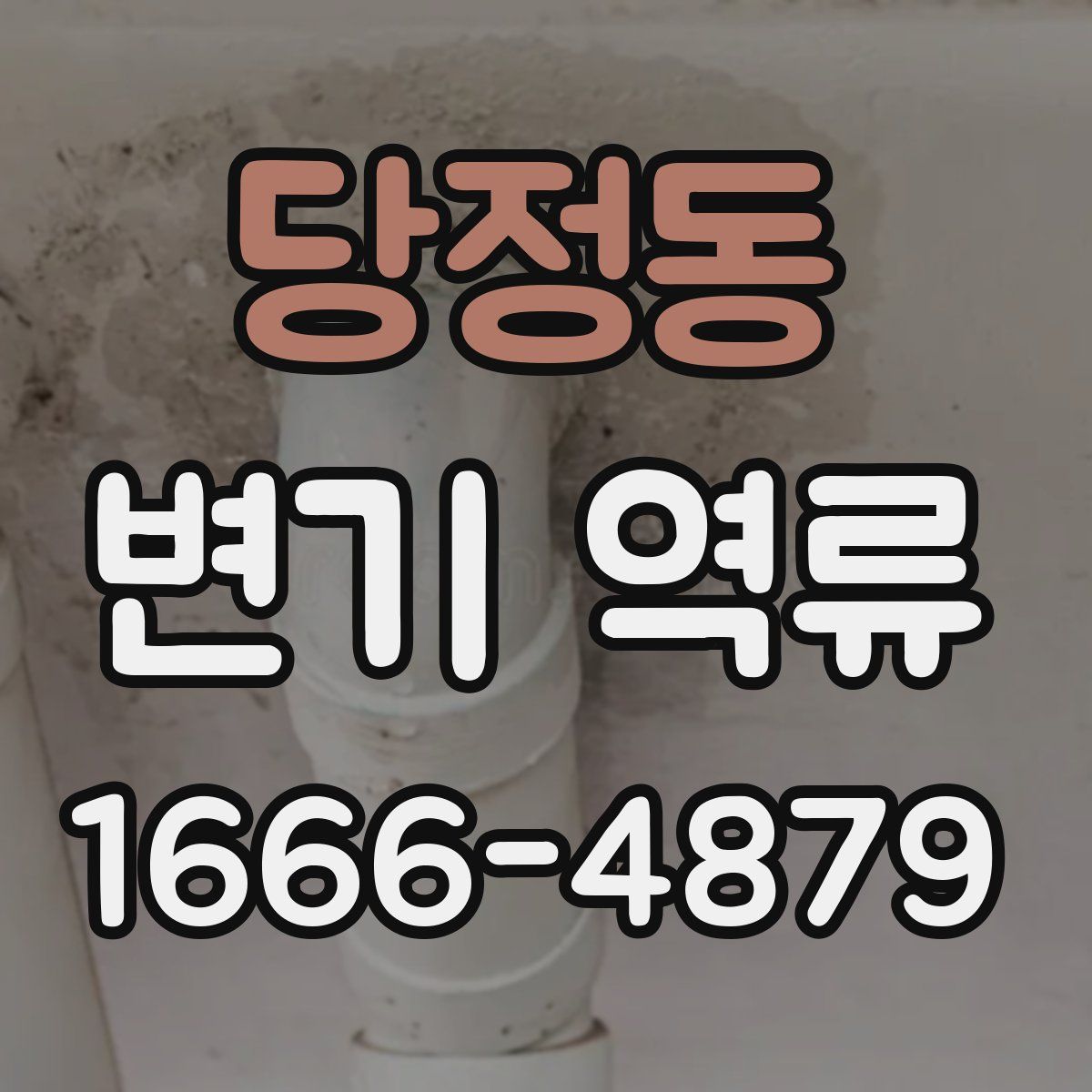 당정동 변기 역류