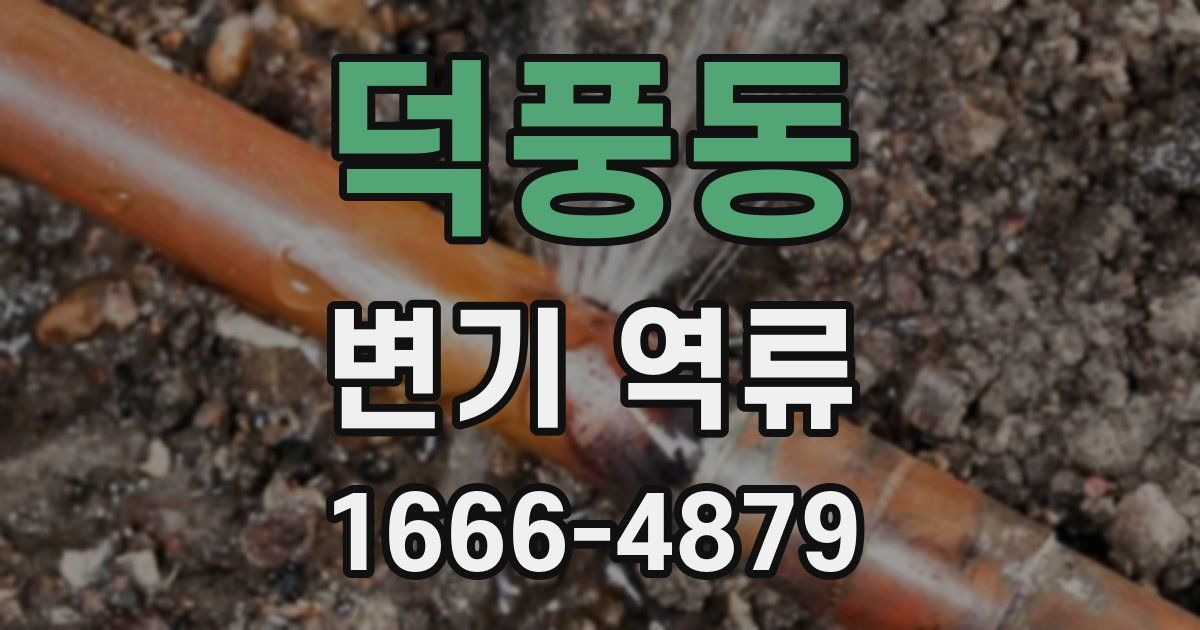 덕풍동 변기 역류