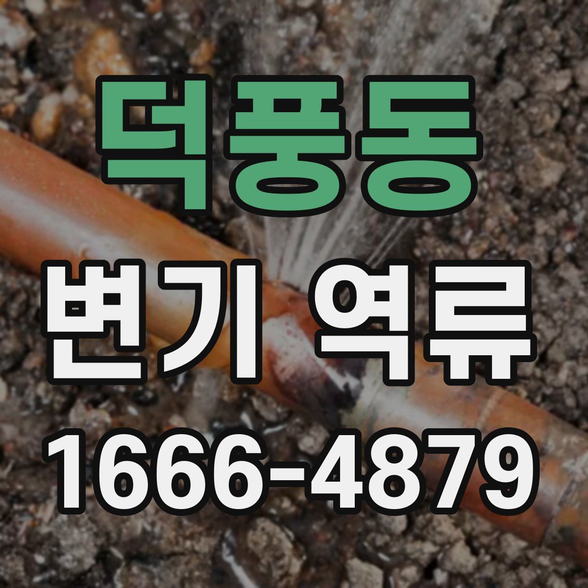 덕풍동 변기 역류