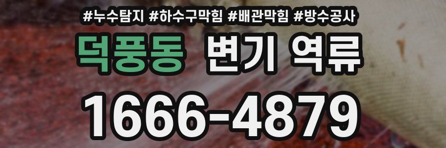 덕풍동 변기 역류