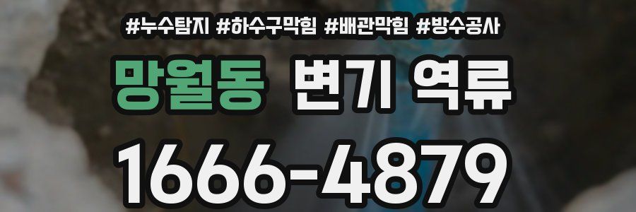망월동 변기 역류