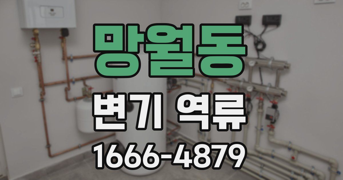 망월동 변기 역류