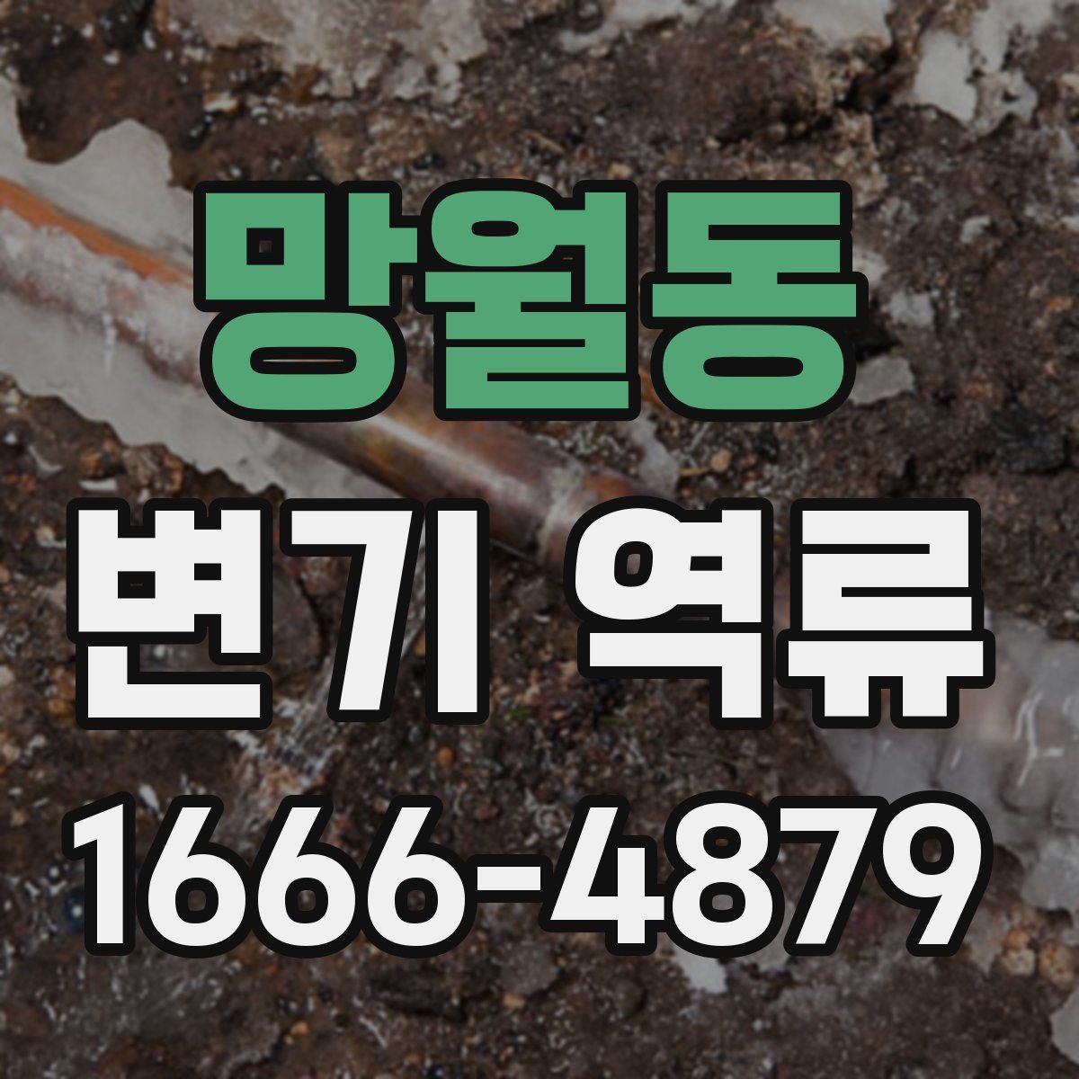망월동 변기 역류
