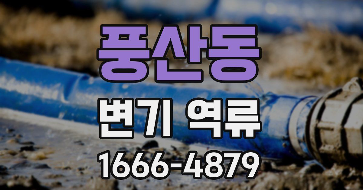 풍산동 변기 역류