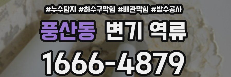 풍산동 변기 역류