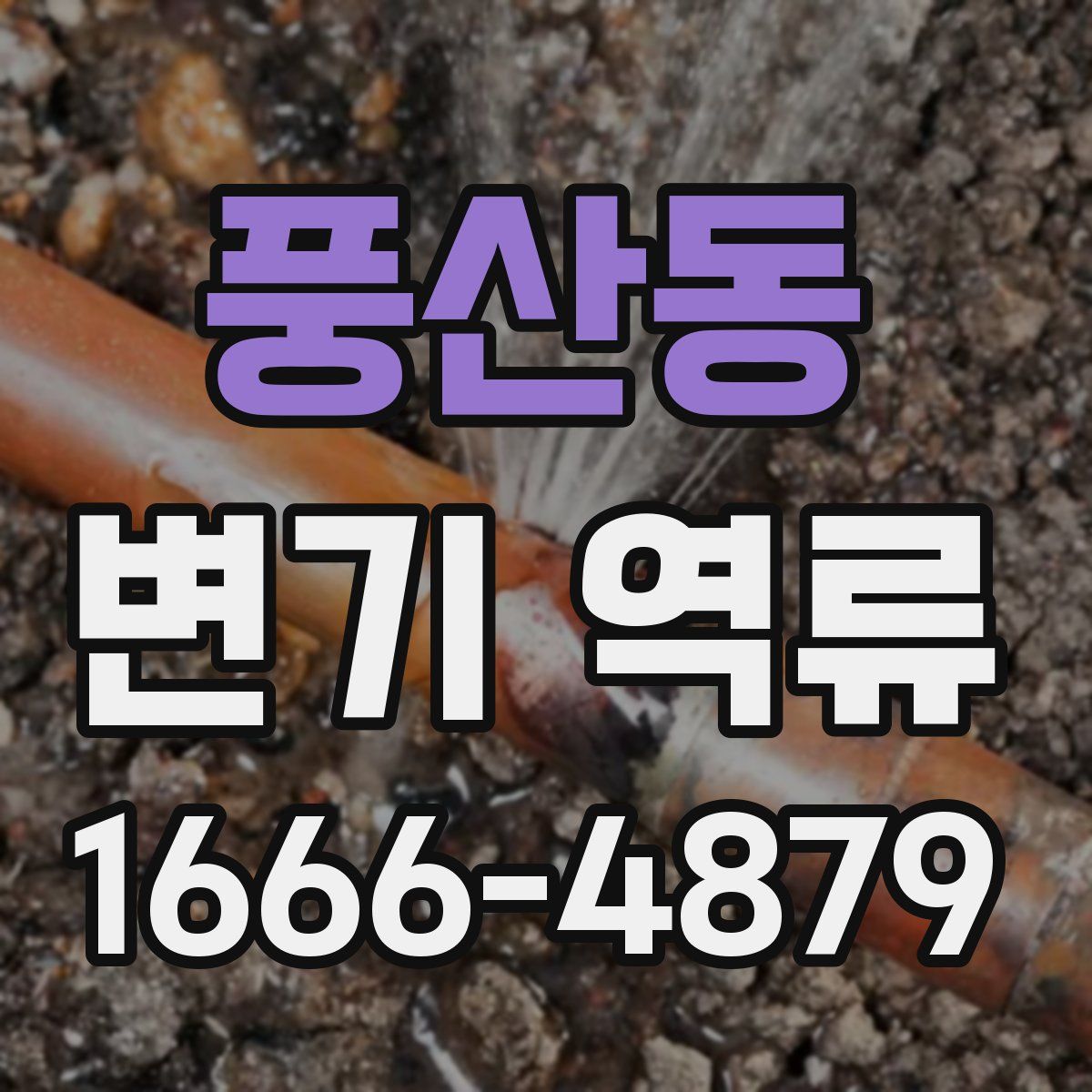 풍산동 변기 역류