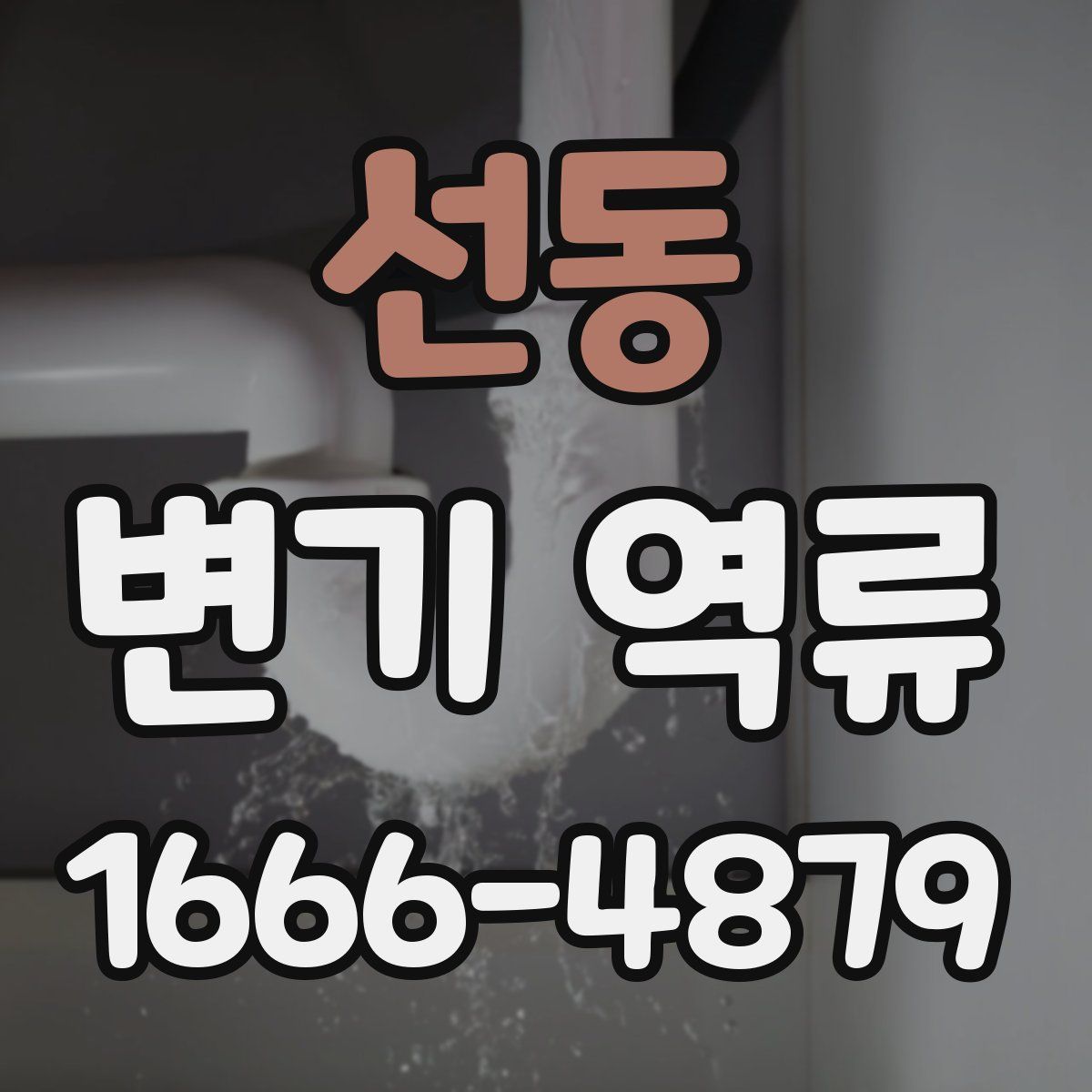 선동 변기 역류