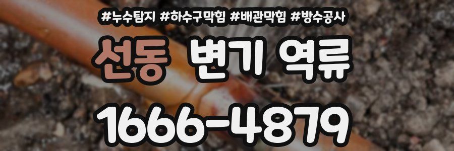선동 변기 역류