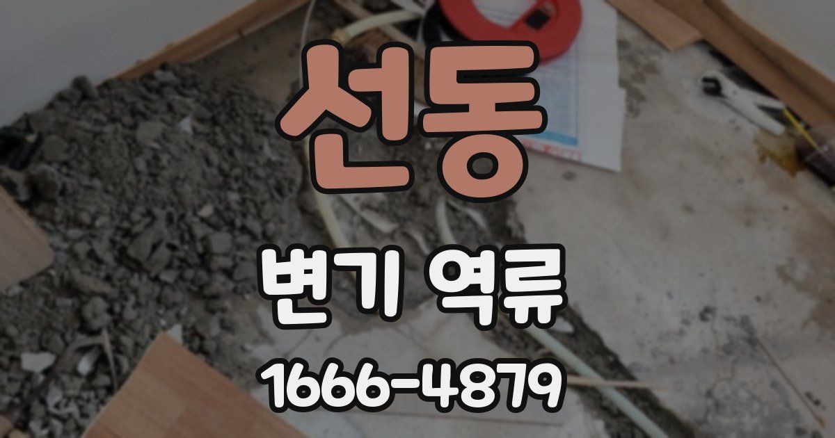 선동 변기 역류