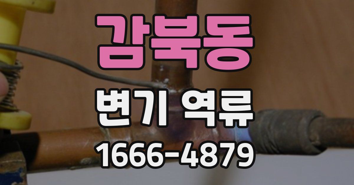 감북동 변기 역류
