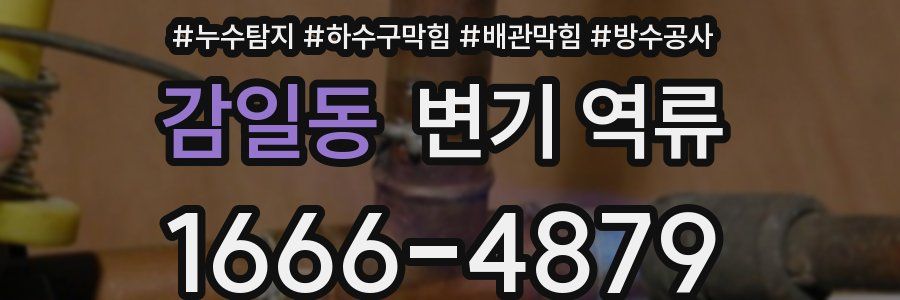 감일동 변기 역류