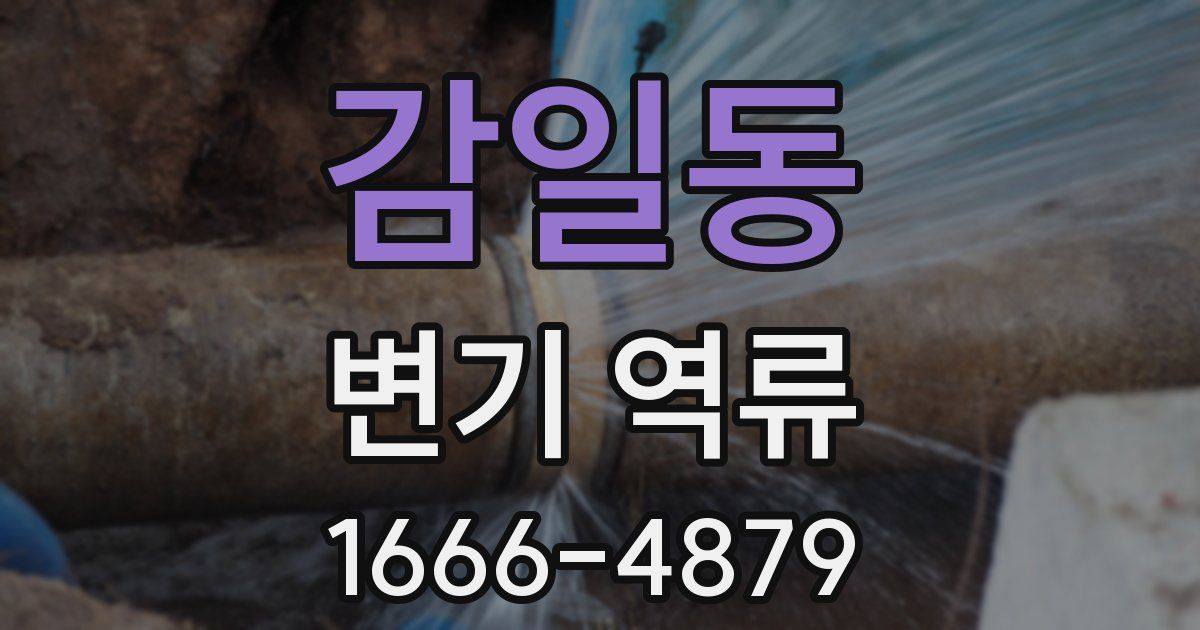 감일동 변기 역류