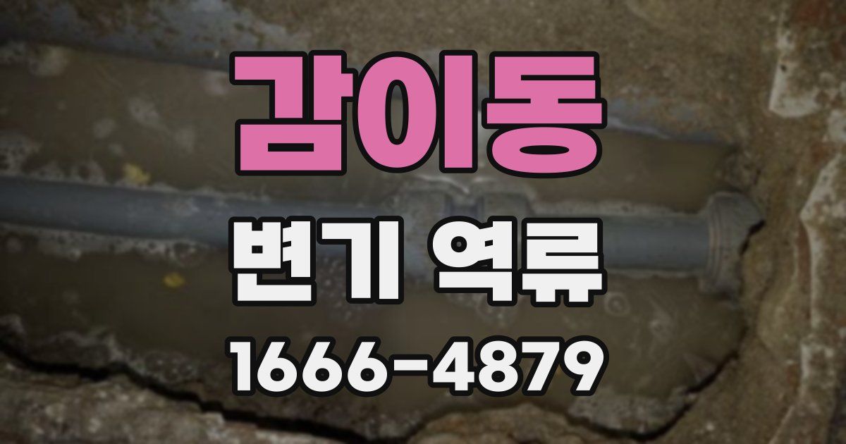 감이동 변기 역류