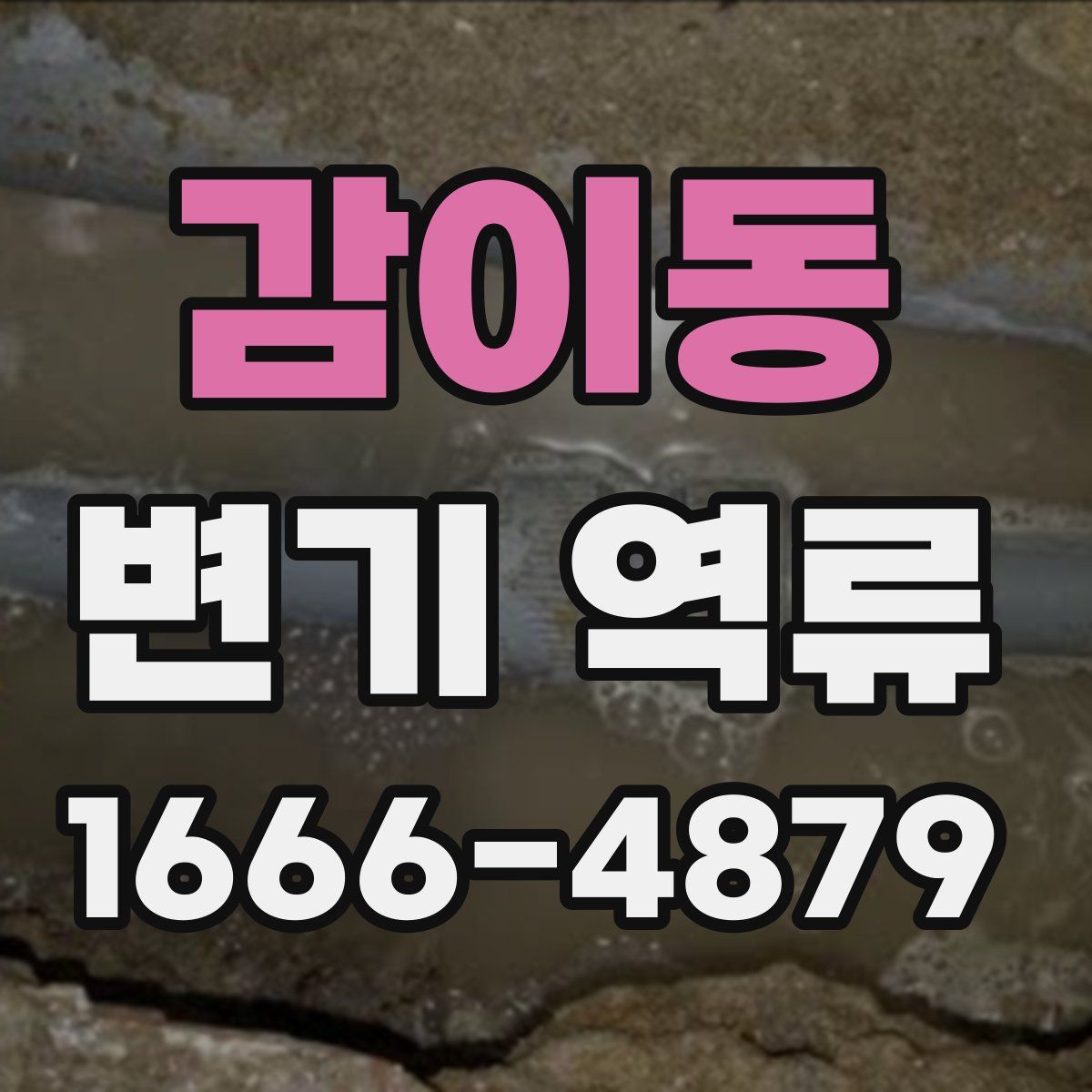 감이동 변기 역류