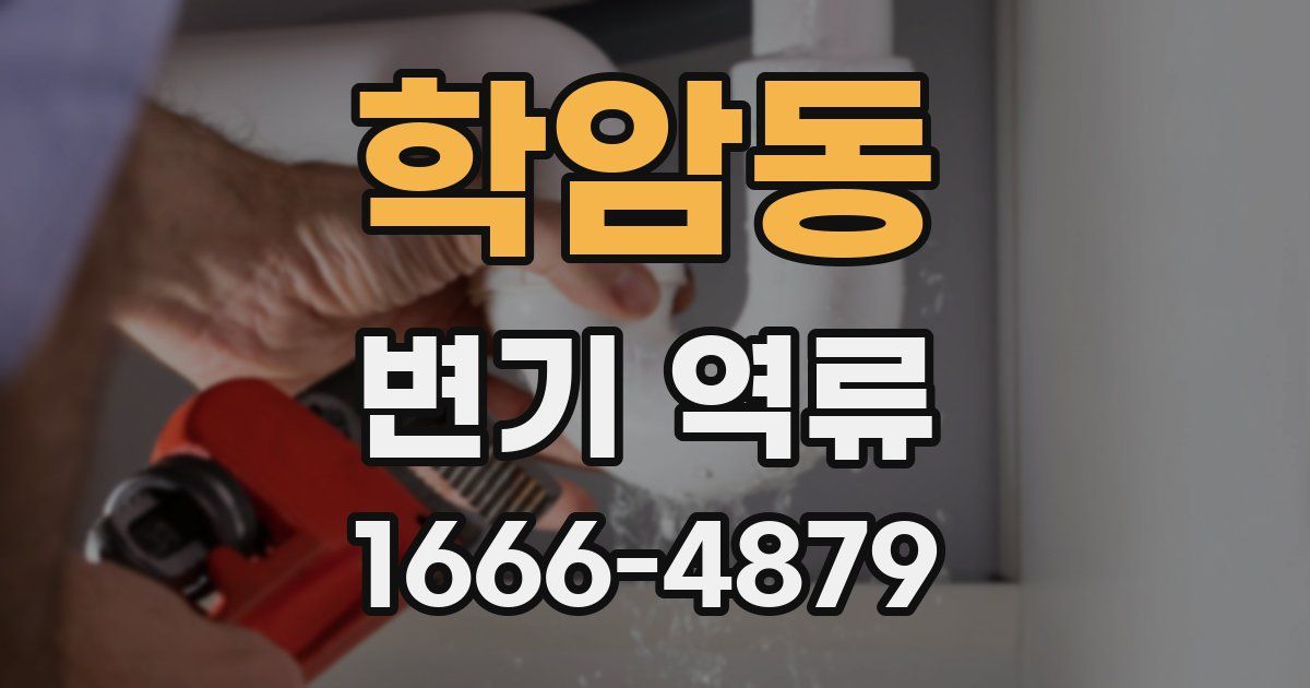 학암동 변기 역류