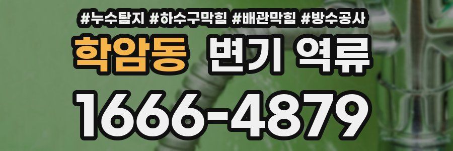 학암동 변기 역류