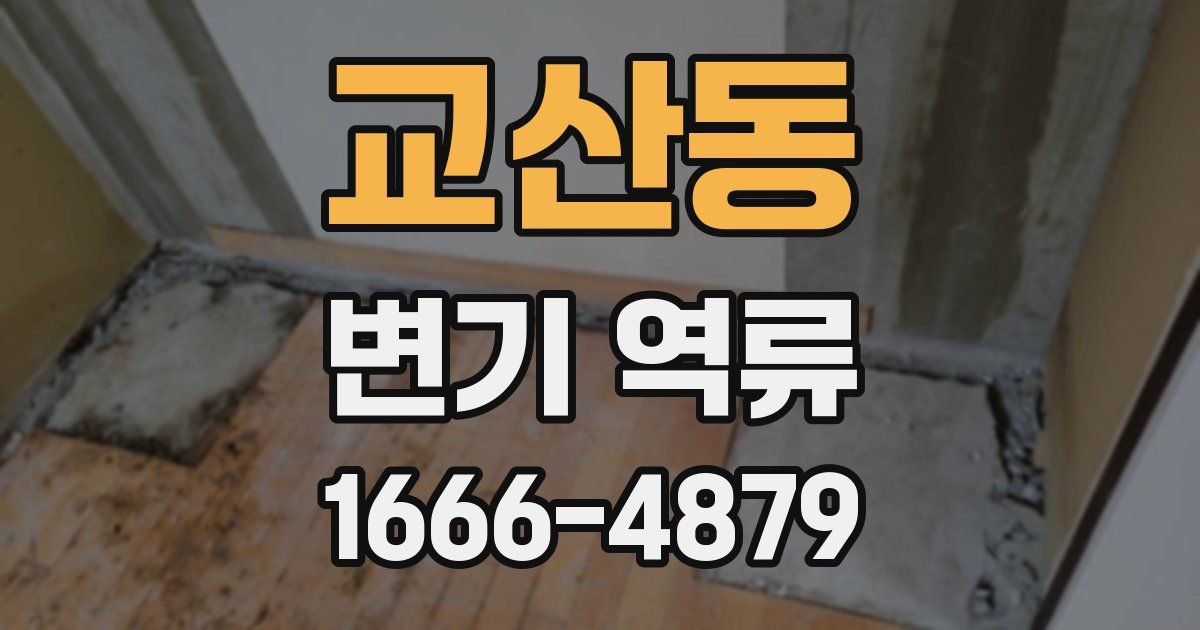 교산동 변기 역류