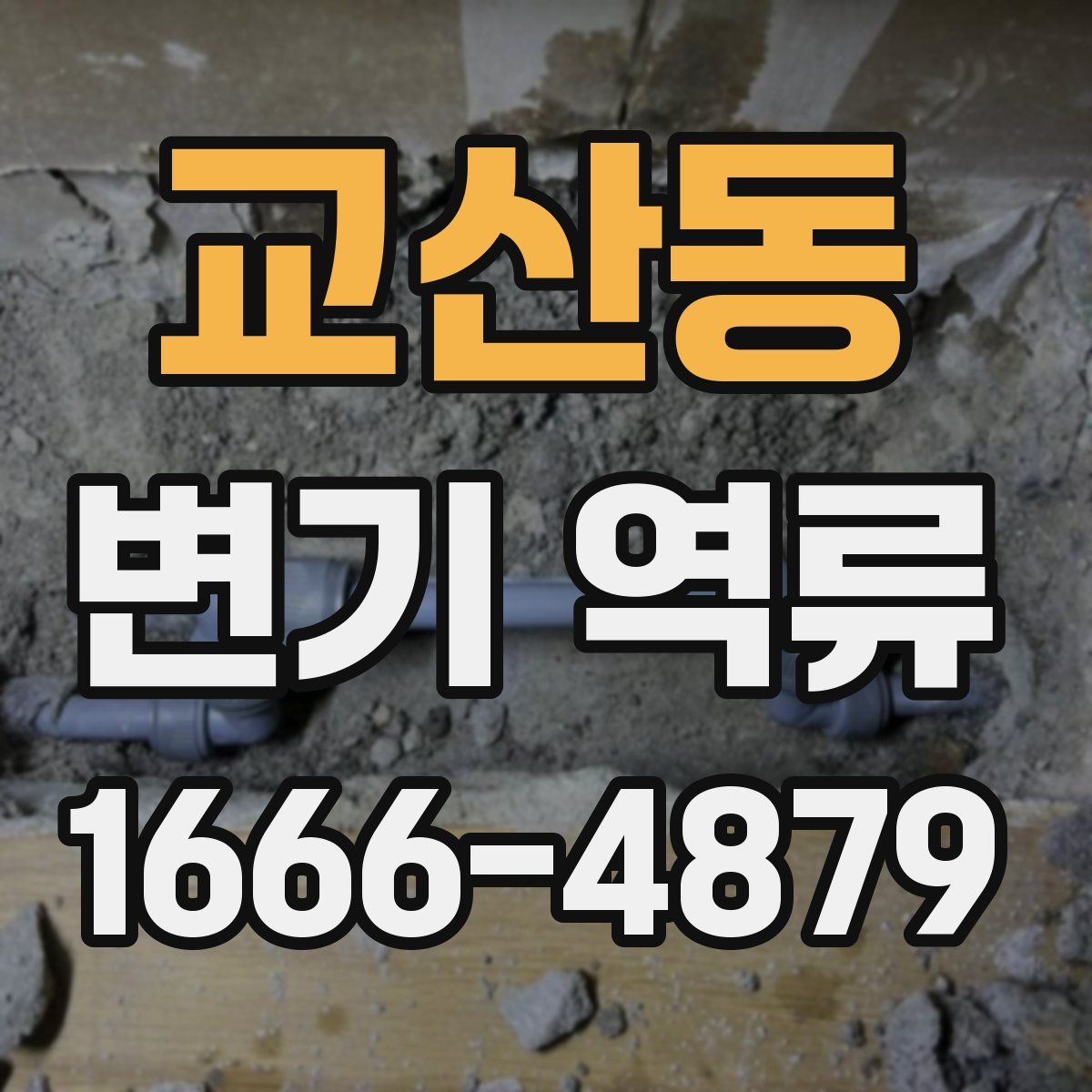 교산동 변기 역류