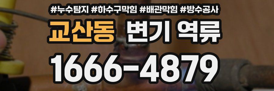 교산동 변기 역류