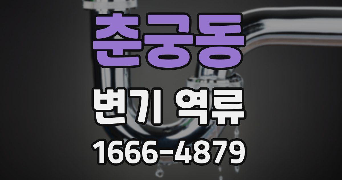 춘궁동 변기 역류