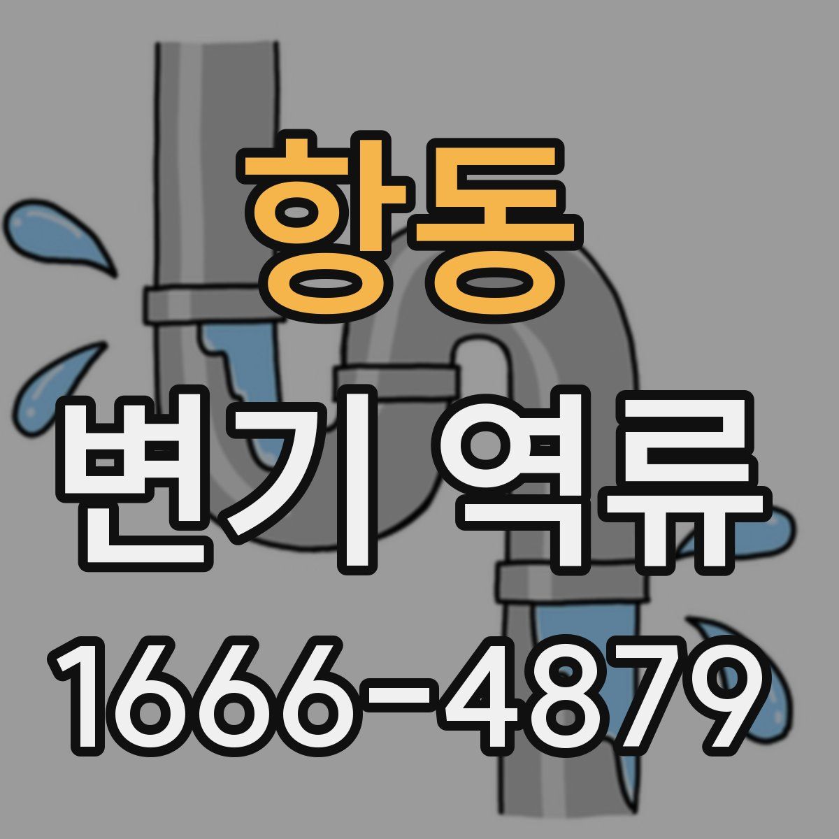 항동 변기 역류