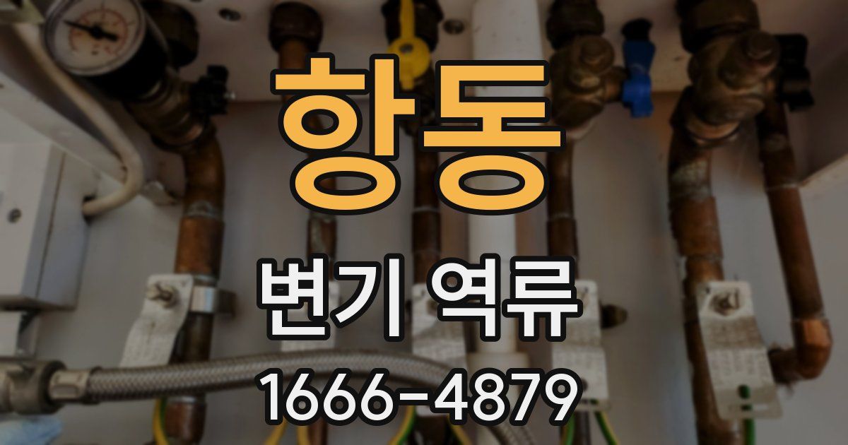 항동 변기 역류