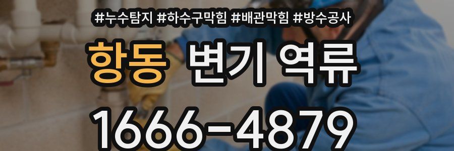 항동 변기 역류