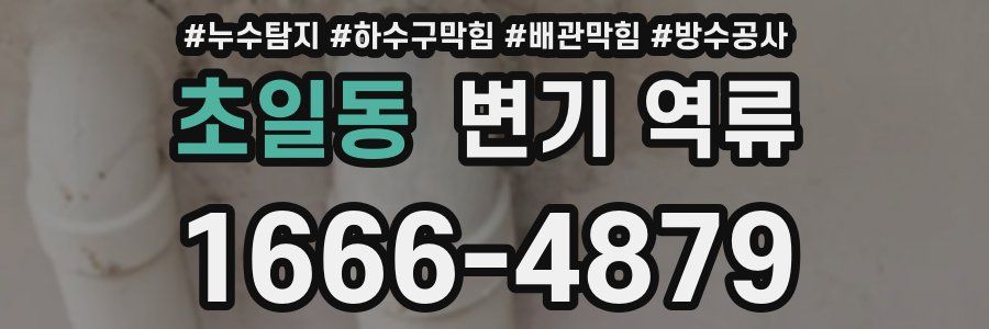 초일동 변기 역류