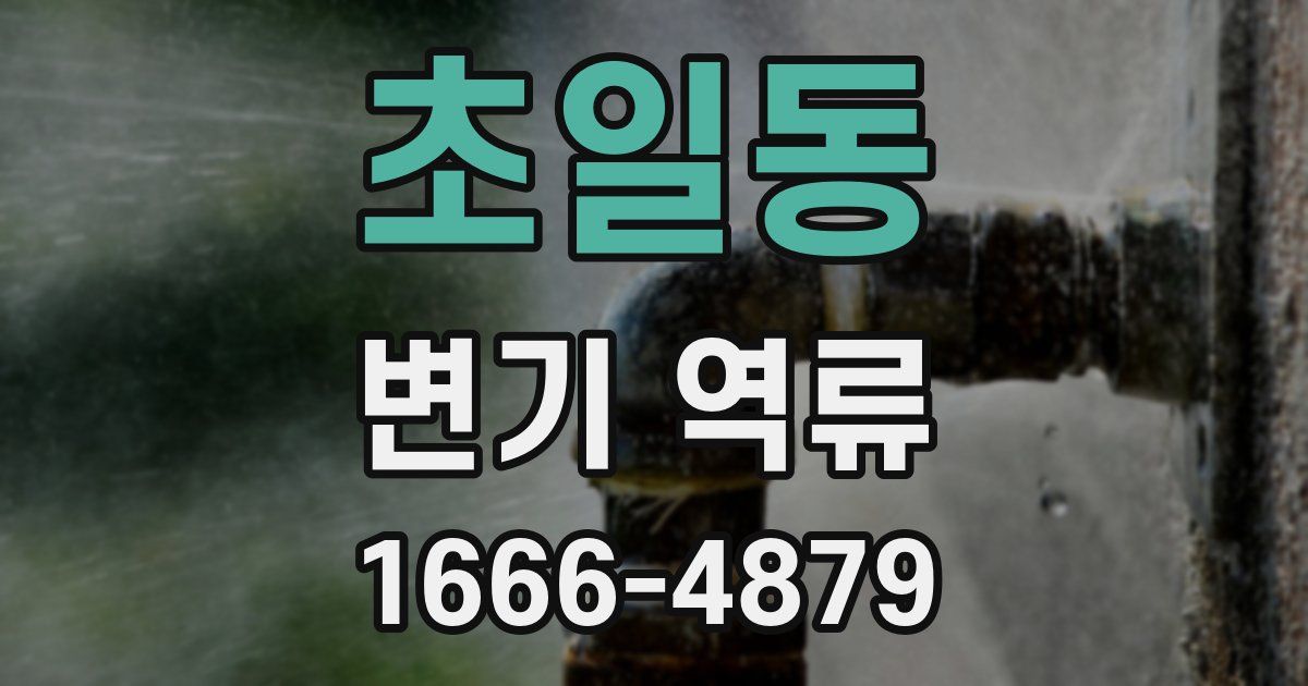 초일동 변기 역류