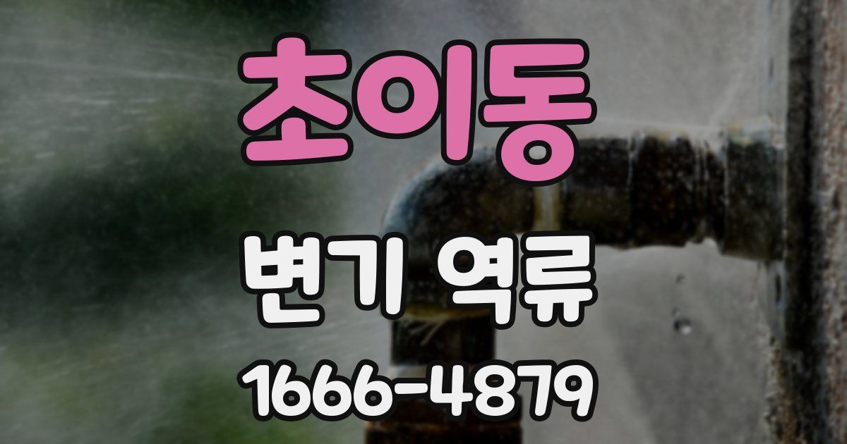 초이동 변기 역류