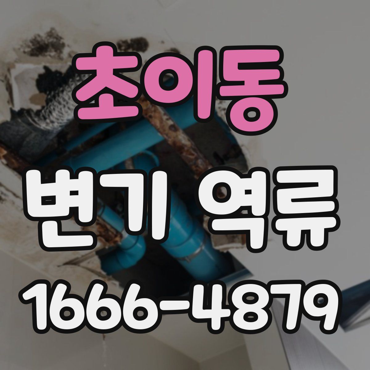 초이동 변기 역류