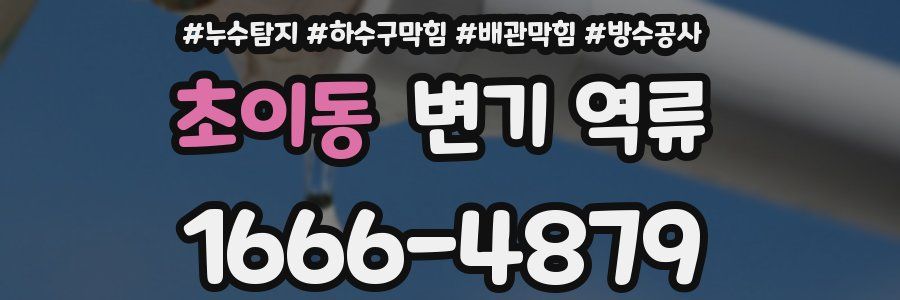 초이동 변기 역류