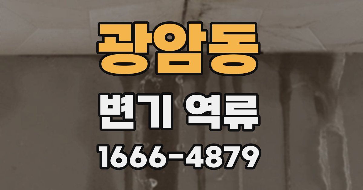 광암동 변기 역류