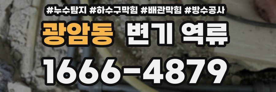 광암동 변기 역류