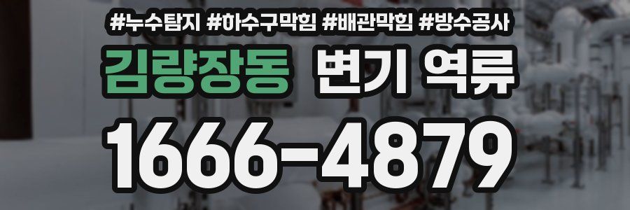 김량장동 변기 역류